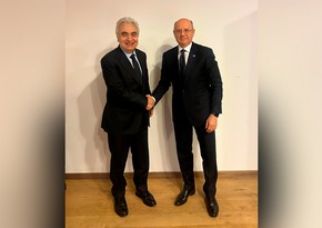 Azerbaijan mulls global energy market trends with IEA